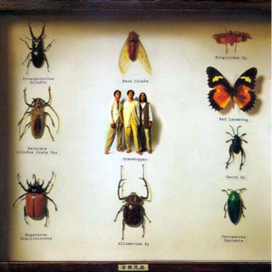 骚妇性性爱AV一区二区
