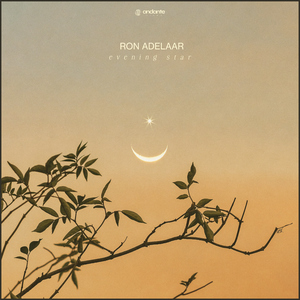 骚妇性性爱AV一区二区
